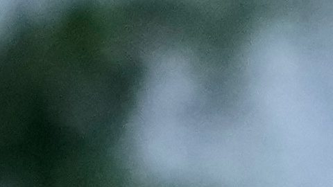 Agentes de la Patrulla Federal y la policía del Sheriff del Condado de Cook se encuentran cerca de la entrada de un centro de procesamiento de ICE. Imagen referencial.