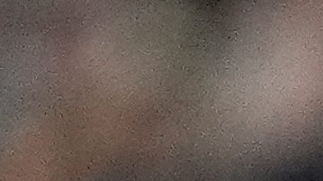 Dominicano Amed Rosario se mantendrá con los Yankees para fortalecer su alineación ofensiva