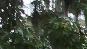 La identidad de la persona hallada no se ha dado a conocer.