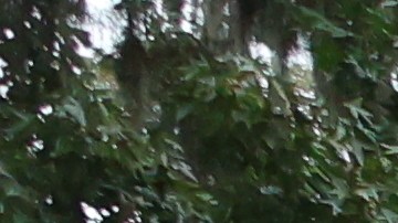 La identidad de la persona hallada no se ha dado a conocer.