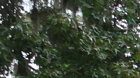 La identidad de la persona hallada no se ha dado a conocer.