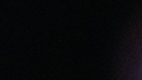 Aficionados de todo el mundo están pendientes de lo que sucederá hoy en Washington D.C.