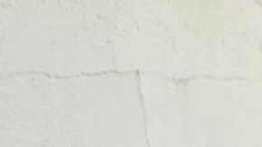 Parias recibió un disparo en el codo por parte de un agente federal.