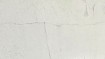 Parias recibió un disparo en el codo por parte de un agente federal.