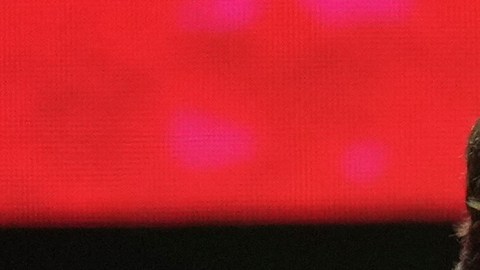 Tucker Carlson habla en un homenaje a Charlie Kirk, el 21 de septiembre de 2025, en Glendale, Arizona.