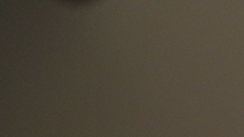 La administración Trump pide estatus migratorio de los beneficiarios.