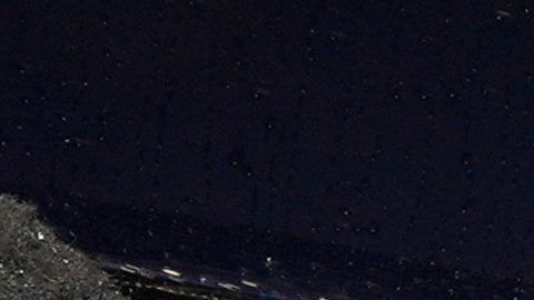 Subastan tarjeta autografiada de MVP de Shohei Ohtani por una cifra récord de $3 millones de dólares