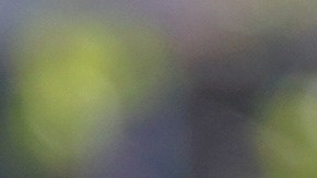 Tania Nemer afirma que fue "despedida abruptamente".