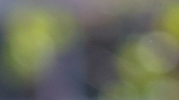 Tania Nemer afirma que fue "despedida abruptamente".