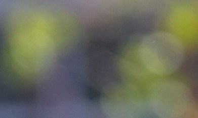 Tania Nemer afirma que fue "despedida abruptamente".