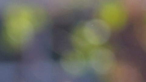 Tania Nemer afirma que fue "despedida abruptamente".