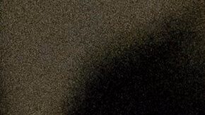 Las acciones de los agentes descritas en los informes muestran cómo las leyes santuario de la ciudad están siendo desafiadas por las autoridades federales.