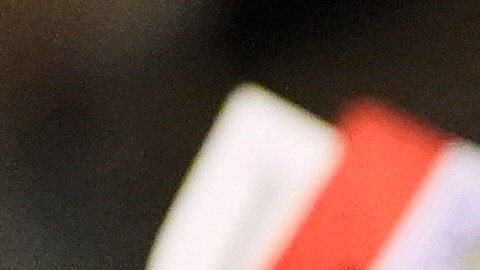 Nuevos ciudadanos estadounidenses en ceremonia en Massachusetts