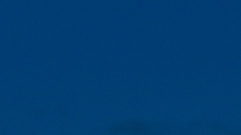 El Capitolio de Estados Unidos se ve poco antes del atardecer, el viernes 28 de noviembre de 2025, en Washington.