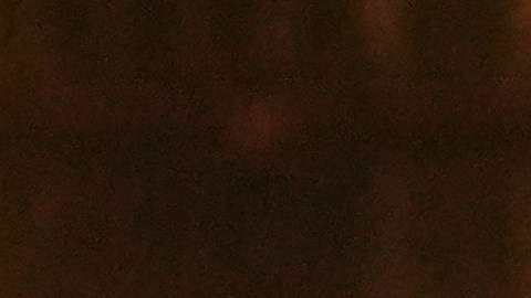 Las exigencias rusas de cesiones territoriales son uno de los puntos más delicados de las negociaciones.