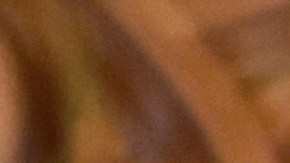 Putin afirmó que líderes europeos se apartaron de las negociaciones.