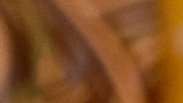 Putin afirmó que líderes europeos se apartaron de las negociaciones.