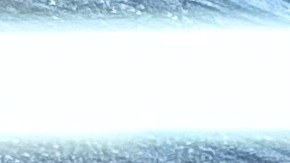 Campaña de SNAP para Puerto Rico en el Congreso