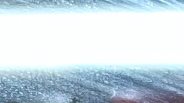 Campaña de SNAP para Puerto Rico en el Congreso