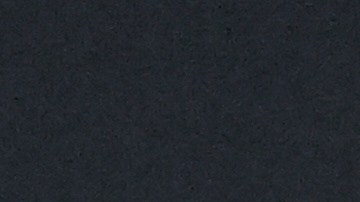 Matt Van Epps agradeció al presidente Trump por "su apoyo incondicional".