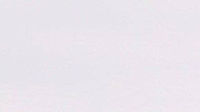 El DHS dijo que la ofensiva se enfoca en personas con antecedentes penales anteriormente divulgados por la policía.