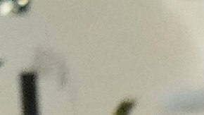 Messi agranda su leyenda al llevar al campeonato de la MLS Cup al Inter Miami