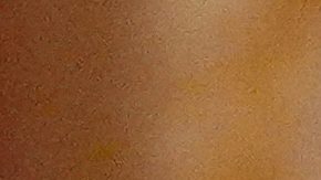 Trump anunció un rescate de $12,000 millones de dólares que será tomado de un fondo de la secretaría de Agricultura.