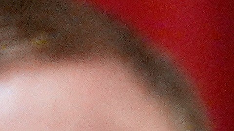 Trump respondió a Taylor Greene llamándola "una persona muy tonta".