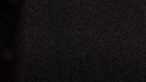 Terry Rozier se declaró no culpable por apuestas ilegales.