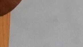 El encuentro tuvo una duración de 40 minutos.