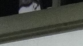 Journalists gather outside the Argentine Soccer Association (AFA) headquarters being raided as part of a judicial investigation into links authorities allege AFA has with a financial services company being investigated for alleged money laundering in Buenos Aires, Argentina, Tuesday, Dec. 9, 2025. (AP Photo/Rodrigo Abd)