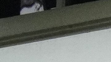 Journalists gather outside the Argentine Soccer Association (AFA) headquarters being raided as part of a judicial investigation into links authorities allege AFA has with a financial services company being investigated for alleged money laundering in Buenos Aires, Argentina, Tuesday, Dec. 9, 2025. (AP Photo/Rodrigo Abd)