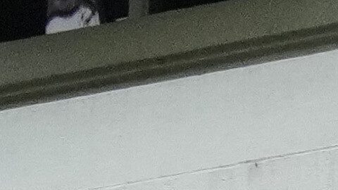 Journalists gather outside the Argentine Soccer Association (AFA) headquarters being raided as part of a judicial investigation into links authorities allege AFA has with a financial services company being investigated for alleged money laundering in Buenos Aires, Argentina, Tuesday, Dec. 9, 2025. (AP Photo/Rodrigo Abd)