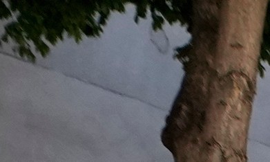 María Corina Machado en Venezuela