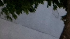 María Corina Machado en Venezuela