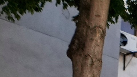 María Corina Machado en Venezuela