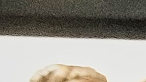 NYPD detiene al sospechoso acusado de disparar contra Kris Boyd, jugador de New York Jets