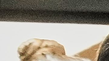 NYPD detiene al sospechoso acusado de disparar contra Kris Boyd, jugador de New York Jets