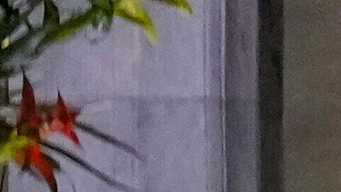 El comité señaló que el viaje se dio en una situación de "peligro extremo".