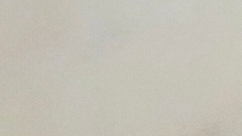 Machado estuvo más de un año en la clandestinidad.