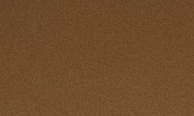 Audiencia de comité de la Cámara federal con Kristi Noem