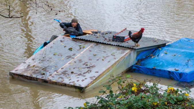 Eric Gustin rescata una gallina de un gallinero inundado, el viernes 12 de diciembre de 2025, en Burlington, Washington.