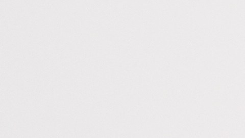 Homan defendió los resultados de la administración Trump al cierre de 2025, calificando la situación actual como "la frontera más segura de la historia de esta nación".