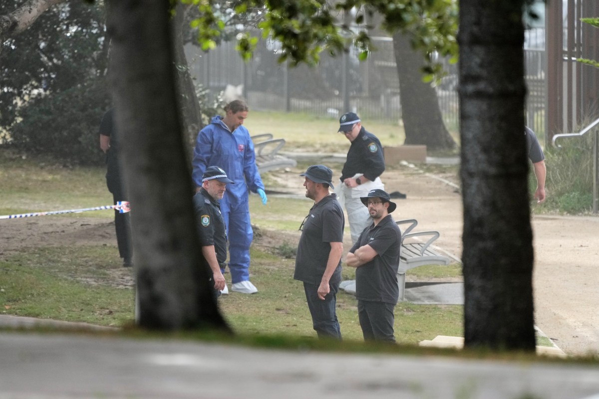 Musulmán que desarmó al presunto tirador en Sídney es aclamado como un héroe