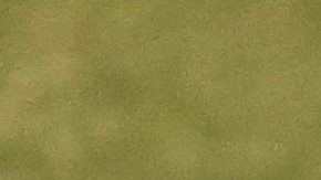 Inter Miami confirmó las fechas en que Messi visitará Perú, Colombia y Ecuador con su Champions Tour