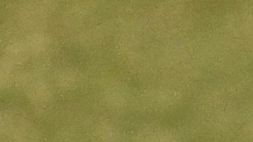 Inter Miami confirmó las fechas en que Messi visitará Perú, Colombia y Ecuador con su Champions Tour