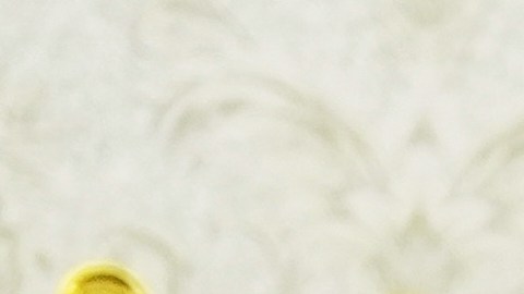 Wiles comparó el carácter de Trump con una "personalidad de alcohólico".