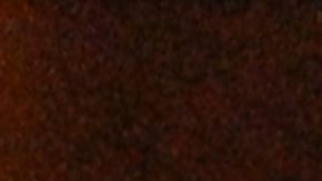 Putin destacó que Rusia seguirá ampliando la franja de seguridad en las regiones ucranianas de Járkov, Dnipropetrovsk y Sumi.