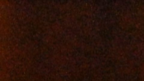 Putin destacó que Rusia seguirá ampliando la franja de seguridad en las regiones ucranianas de Járkov, Dnipropetrovsk y Sumi.