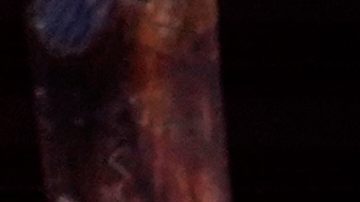 El cuerpo del futbolista asesinado Mario Pineida yace en el suelo de una carnicería en Guayaquil, Ecuador, el miércoles.